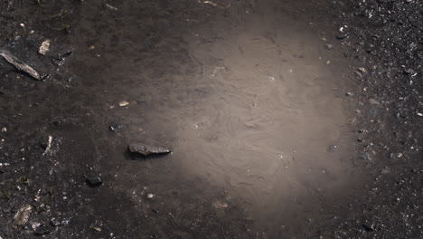 hiking in a puddle