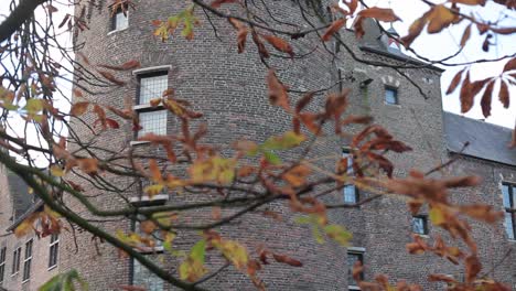 Castle-filmed-through-branches