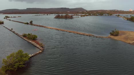 Flamingos-Entspannen-Sich-Im-Salina-Sint-Marie-Auf-Der-Niederländischen-Karibikinsel-Curacao