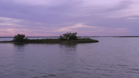 Gran-Garza-Descansando-En-Una-Pequeña-Isla-En-Nueces-Bay-Texas