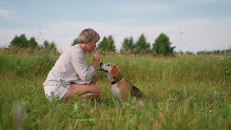 dog owner interacting playfully with her dog outdoors as dog jumps up to kiss her, owner squatting in grassy field with bright sunny day in background, dog gazing in distance