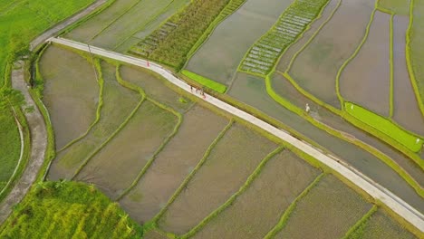 Group-of-kids-having-fun-and-playing-outdoors-between-rice-paddy-fields-during-sunny-day-in-Asia