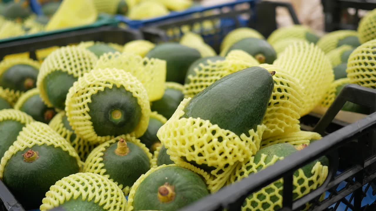 보호 포장 된 아보카도