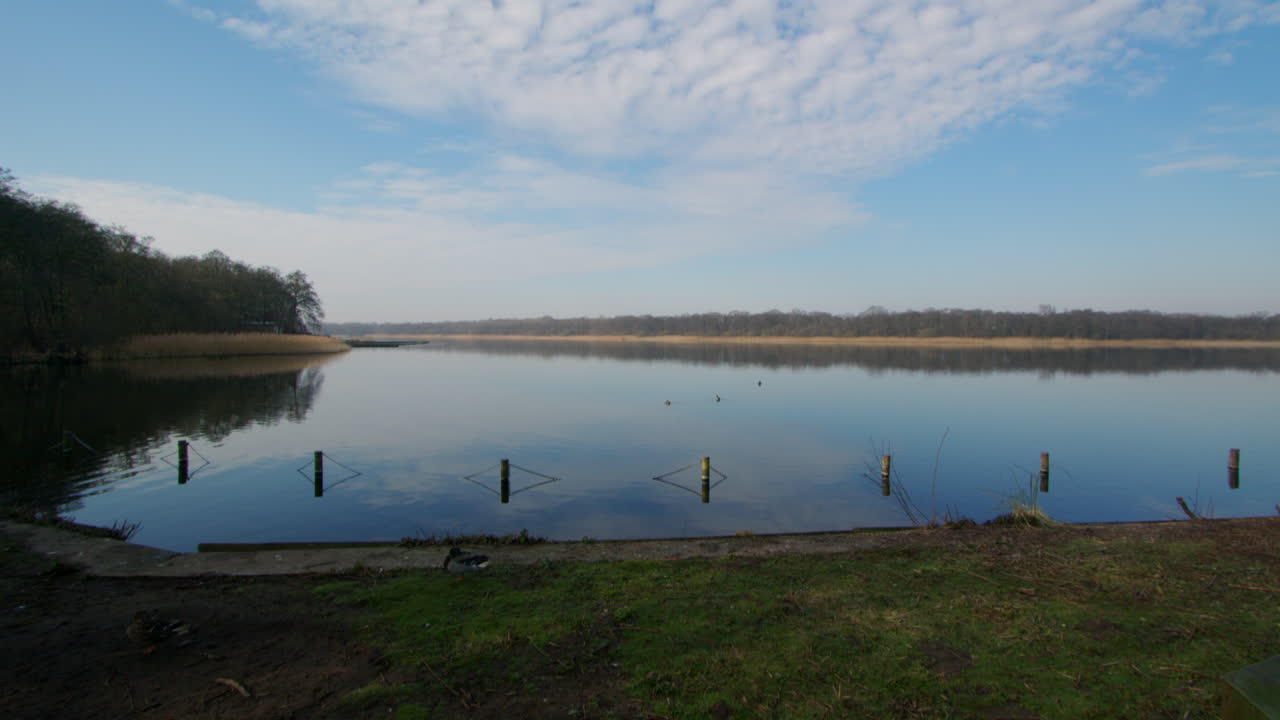 tilting down extra Wide shot of Rollesby Broad taken from the A149 at Ormesby St Margaret