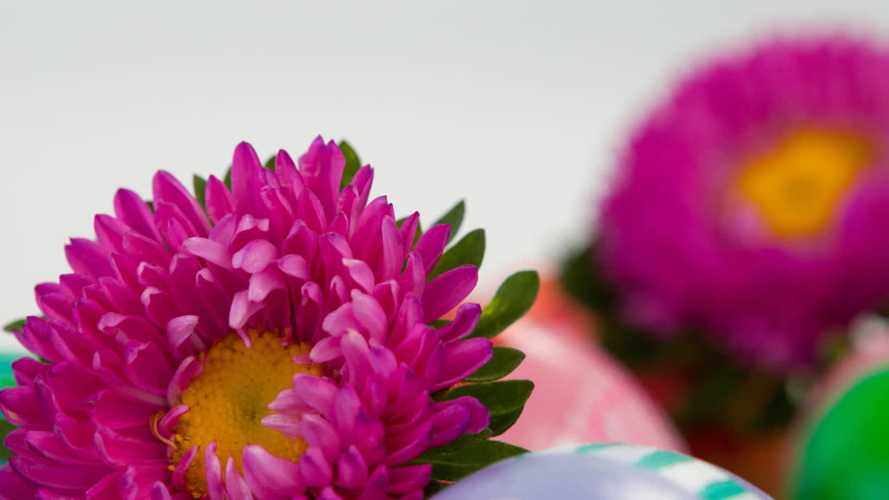 animación de huevos de pascua y flores en la hierba
