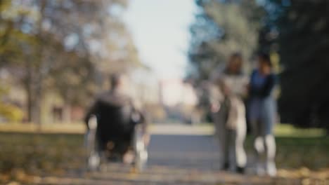 unrecognizable senior and ill people walking in public park