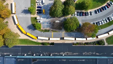 school buses in line outside of american school during autumn