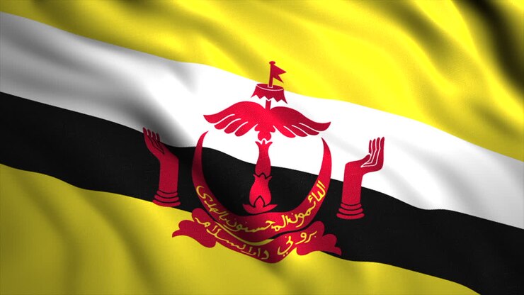vlag van brunei darussalam