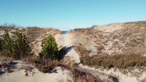 Senderos-En-La-Sabana-De-Dunas-De-Arena-Cerca-De-La-Orilla-Del-Mar-Del-Parque-Provincial-Pinery-En-Ontario,-Canadá