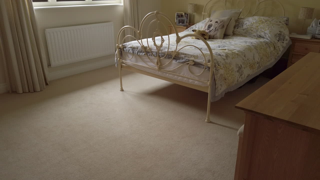 시골집에 있는 현대적으로 보이는 침실의 상향 기울기 샷