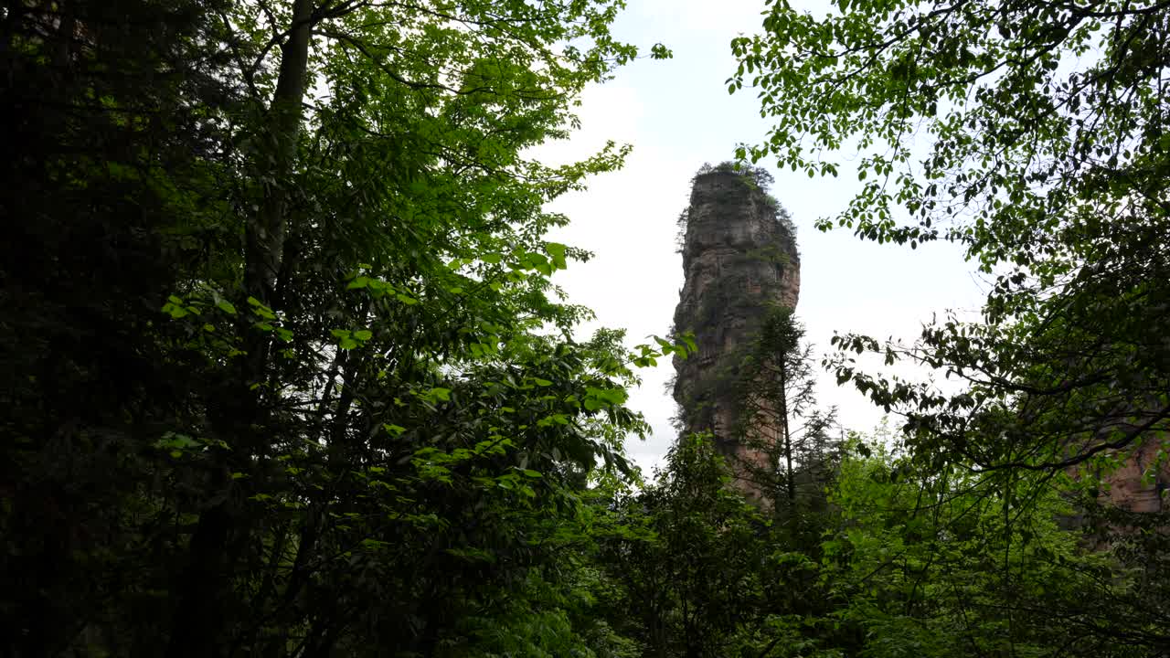 Hallelujah Mountain rises above lush greenery in Zhangjiajie, China. Low angle pan shot