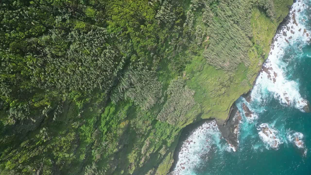 Lush green cliffs meeting the blue ocean on a sunny day, aerial view
