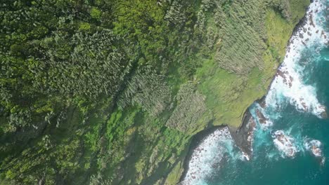 exuberantes acantilados verdes que se encuentran con el océano azul en un día soleado, vista aérea