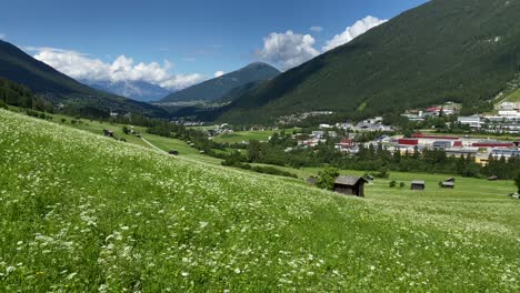 beautiful summer meadow with flowers and some cabins in the background in stubai valley, austria