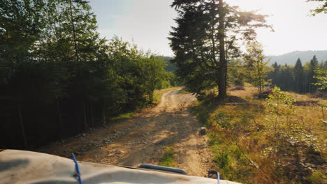 extreme off-road driving and puddles off-road safaris in the forest