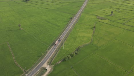 toma aérea de un dron de un autobús de sri lanka conduciendo por una carretera rural a través de praderas de arrozales