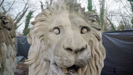 close-up of the lánchíd lion's head before restoration