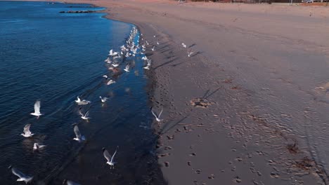 A-low-angle-view-of-the-beach-on-Reynolds-Channel-in-Atlantic-Beach,-NY-during-sunrise