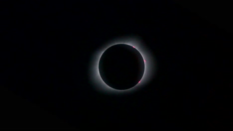 zoom giratorio en el eclipse solar total que muestra prominencias rosadas y corona solar