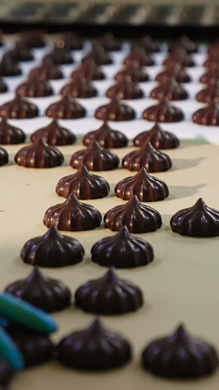 Hands in blue gloves take marshmallows away from conveyor. Tasty freshly-made zephyr sweets moving on the conveyor. Close up. Vertical video