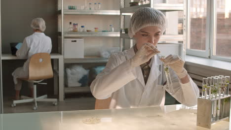 scientist working in a laboratory on plant experiments