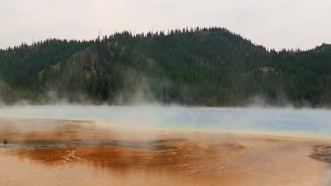 wide angle view of steam rising from the amazing grand prismatic spring in yellowstone national park, wyoming with lush green mountain in the background