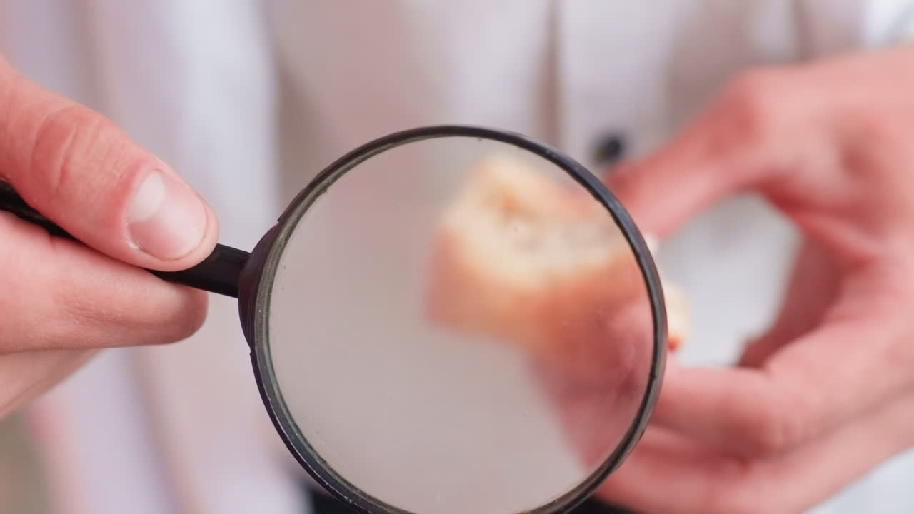 Close up view of human in white coat carefully examining pastry through magnifying glass during outdoor research, showing focus, curiosity, and dedication to detailed scientific observation