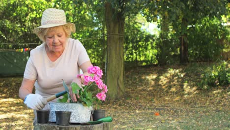 Mujer-Mayor,-Jardinería,-En,-Jardín