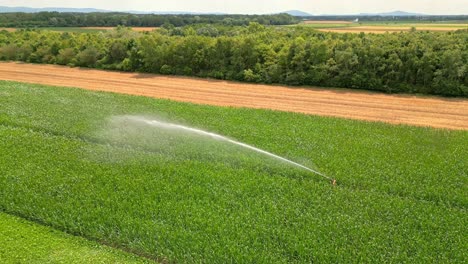 Green-Field-With-Irrigation-System-In-Marchfeld,-Austria---Aerial-Shot