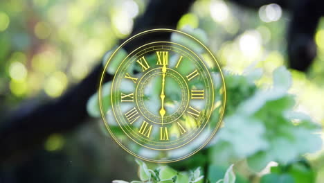 animating golden clock face over blurred green foliage background, time concept