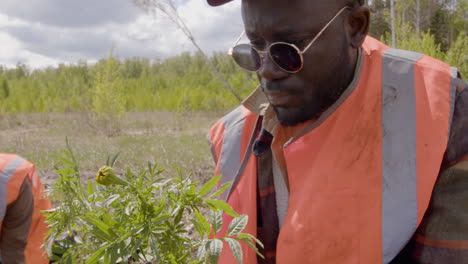 African-american-ecologist-activist-holding-small-trees-in-the-forest.-On-the-background-his-female-coworker-is-planting-a-tree