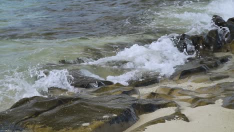 beautiful scene of wave splashing onto rocks in slow motion, fiji island shore