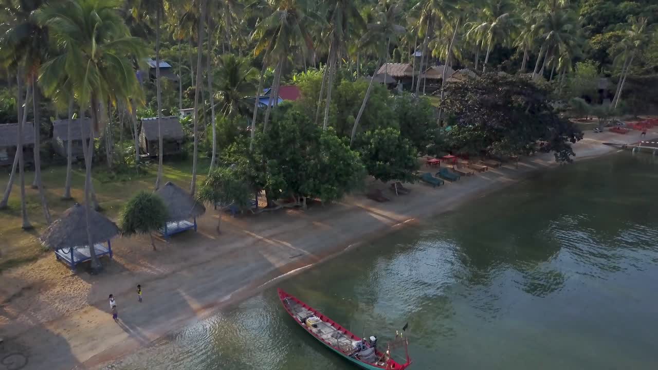 Tropical beach with palm trees and a boat