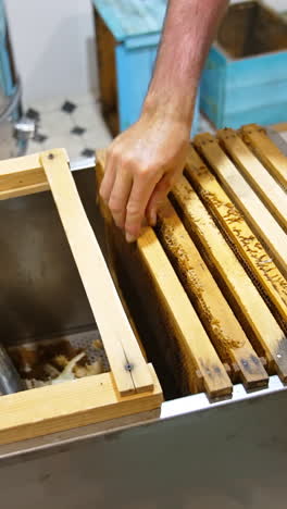 apiculturist places the honey frames into the metal box. honey extracting device and beehives at backdrop. vertical video