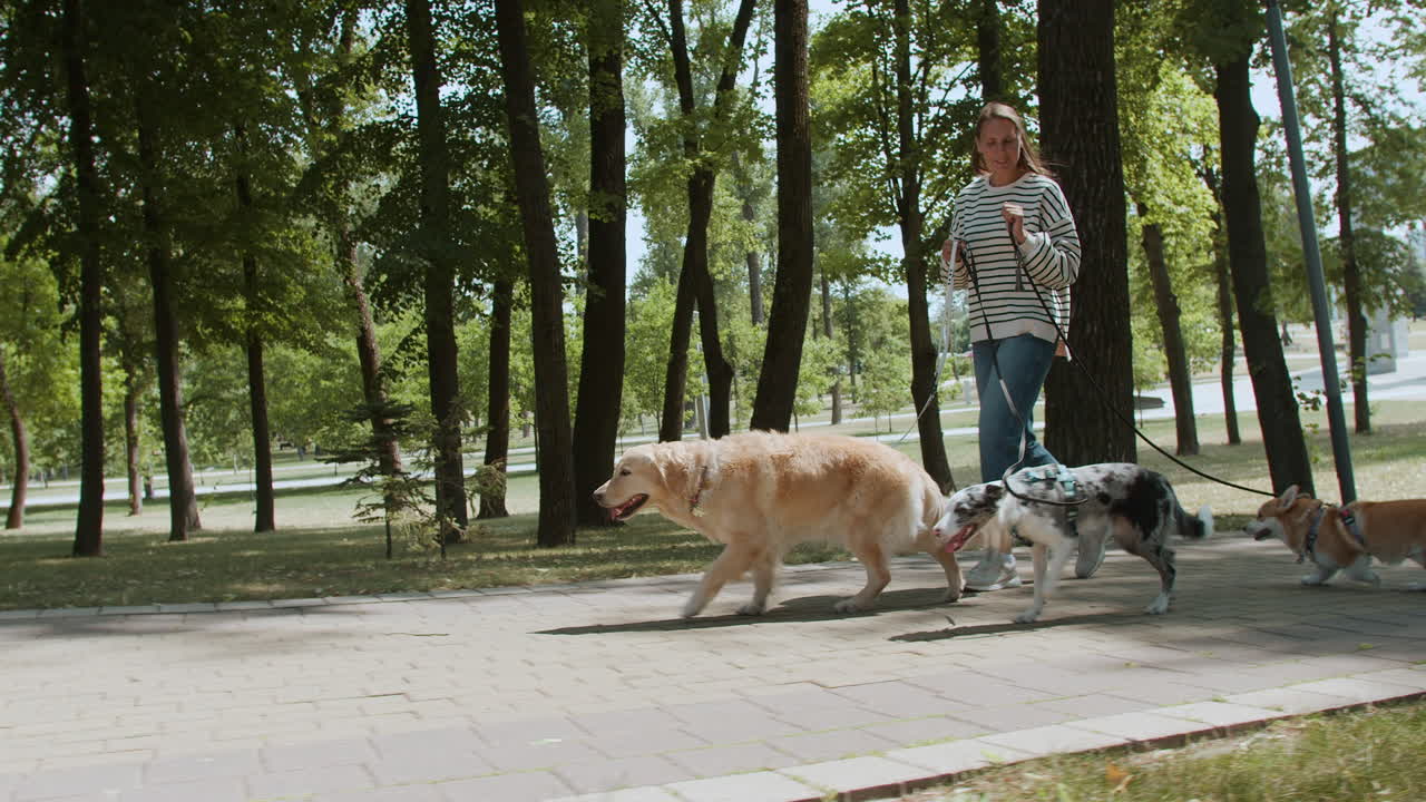 공원에서 애완동물과 함께 있는 젊은 여성