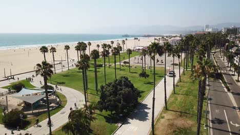 los angeles palm tree beach recreational waterfront boulevard aerial descending view to street