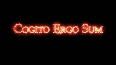 cogito ergo sum escrito con bucle de fuego.