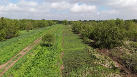 aerial view lush green wetland meadows bordered by dense trees under a bright cloudy sky.