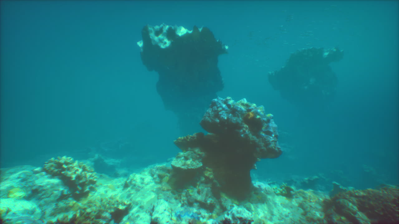 impresionante arrecife de coral bajo el agua
