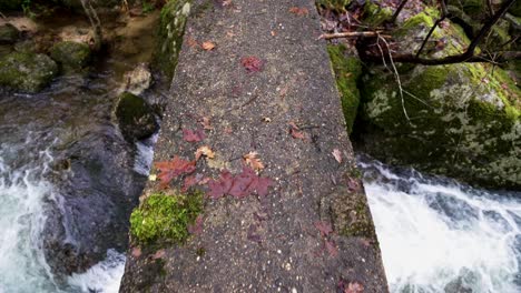 narrow stone bridge over barrias river, felgueiras, portugal