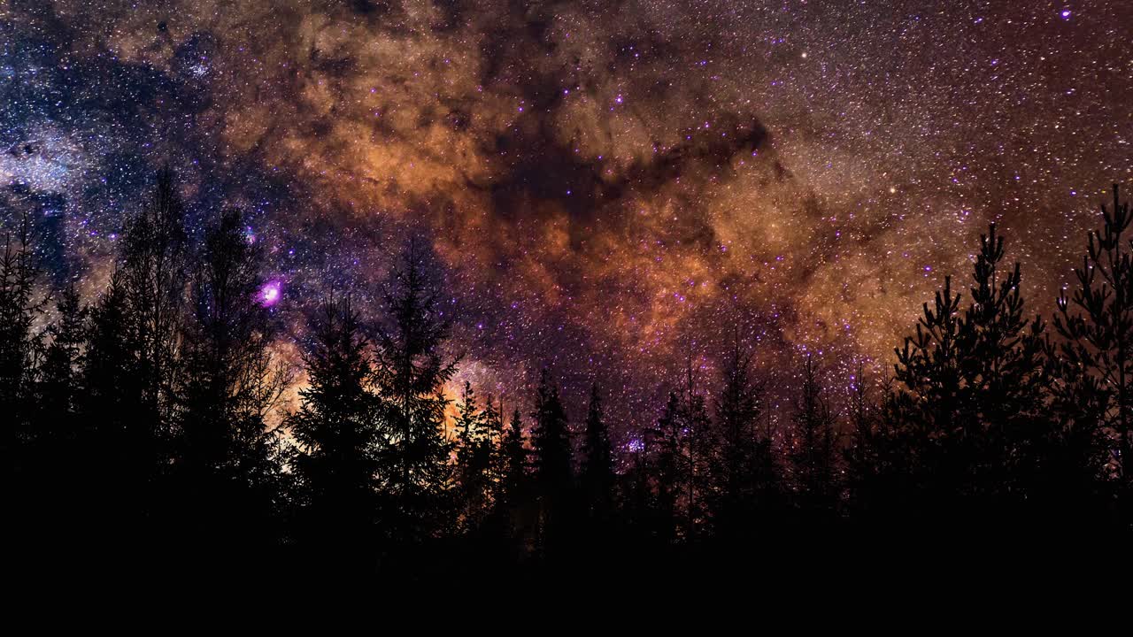 A super sky at night over the treetops.
