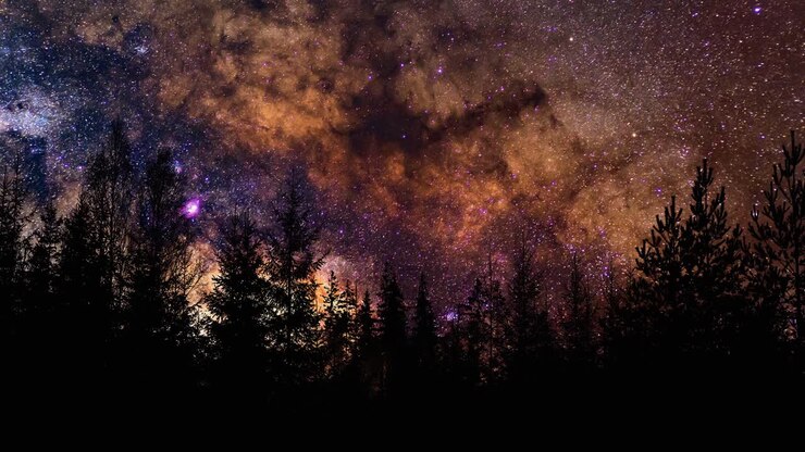 A super sky at night over the treetops.