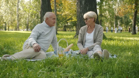 senior couple enjoying a picnic in the park
