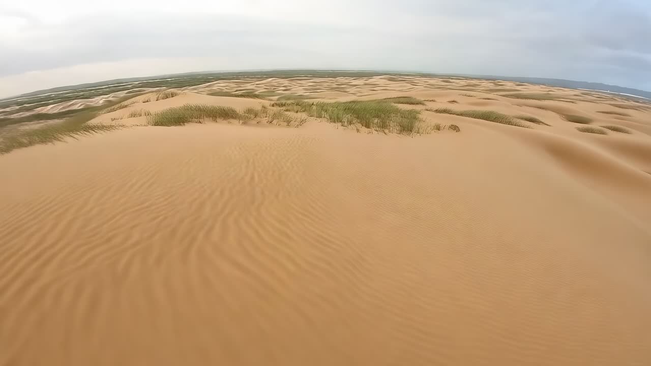 Drone con telecamera che si muove in avanti su un campo di dune, catturando sabbia increspata ed erba per ispezionare