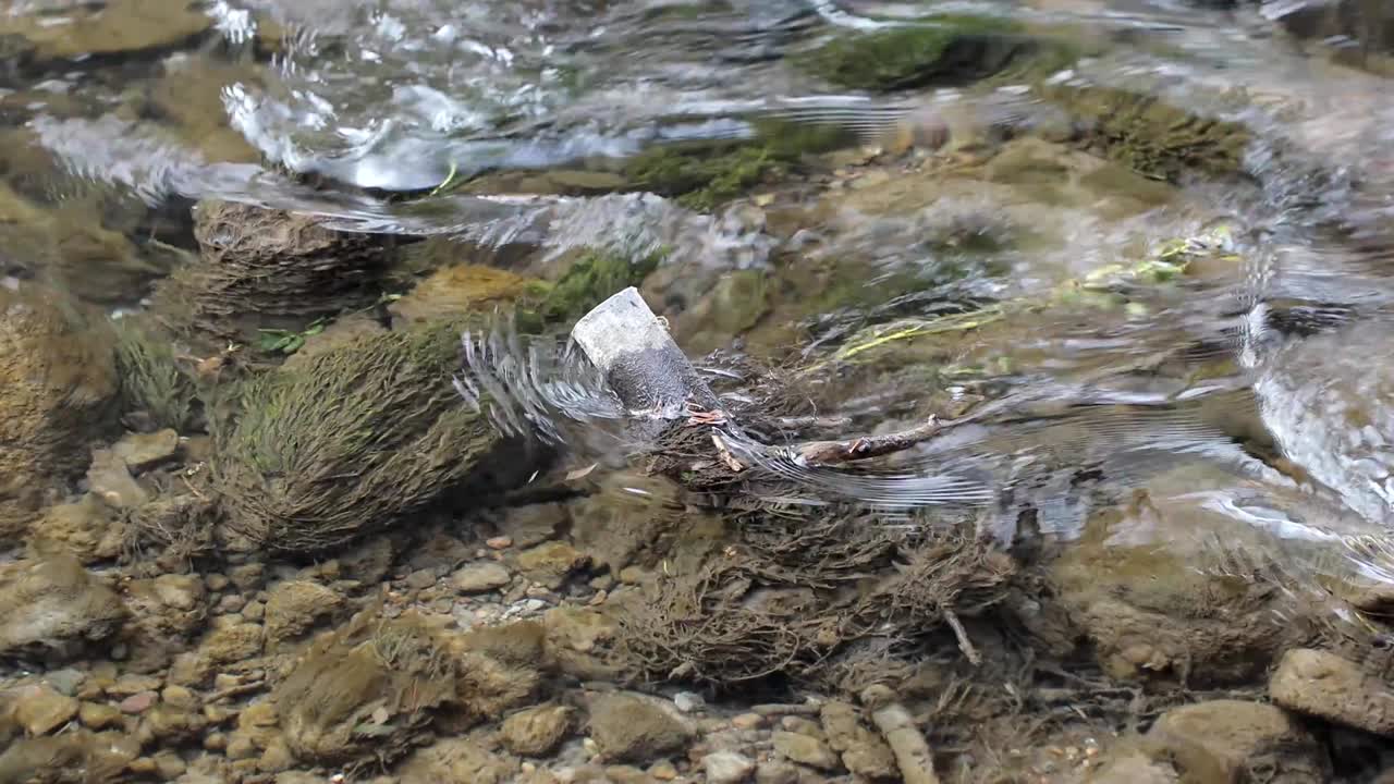 flow of water in the river in the afternoon close-up