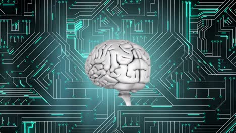 Grey brain rotating on computer circuit board