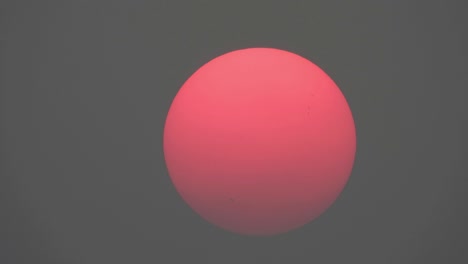 beautiful sunset and black dots in sun