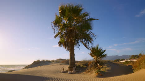 dia de viento en la playa