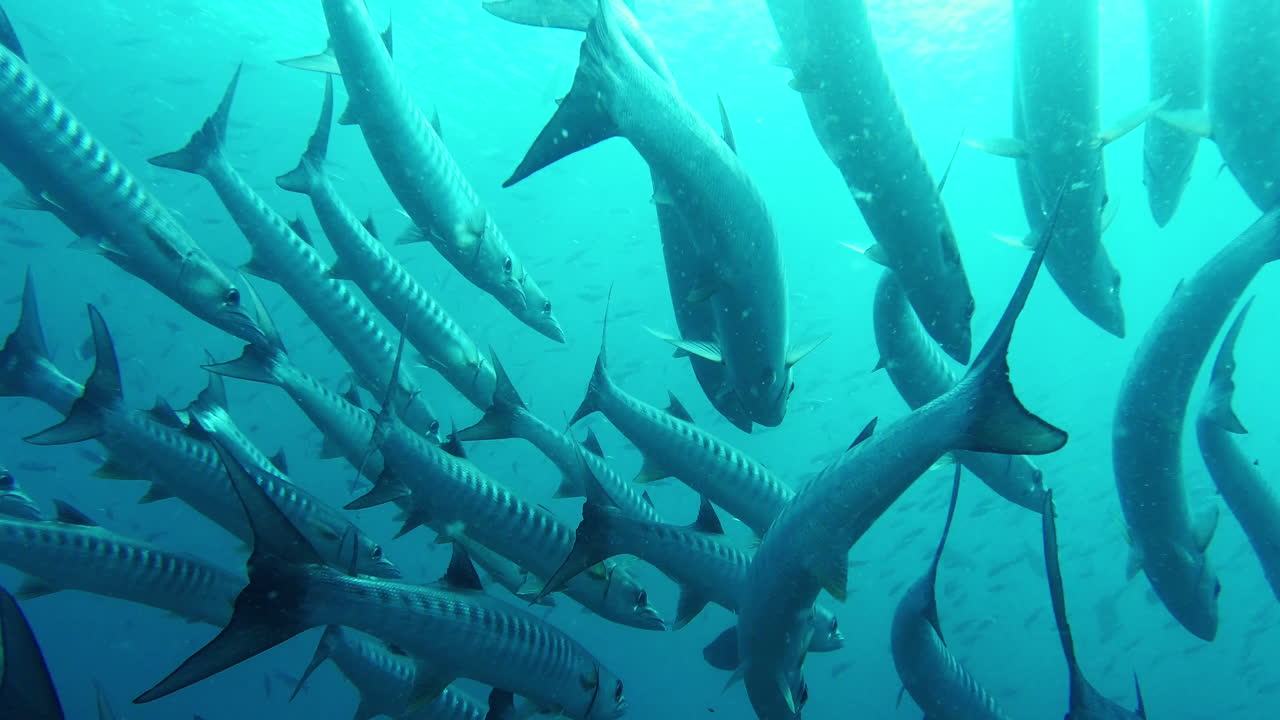 seguridad en números