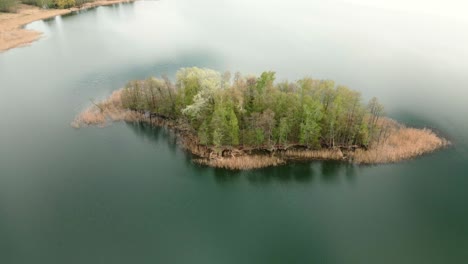 a small islet on a large lake, with green trees and yellow reeds on it